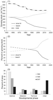 Toward a Beech-Dominated Alternative Stable State in Dinaric Mixed Montane Forests: A Long-Term Study of the Pecka Old-Growth Forest